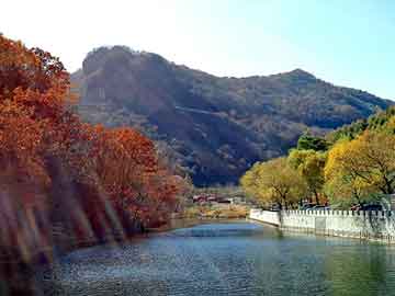 新澳门正版免费大全，仙居顶风电